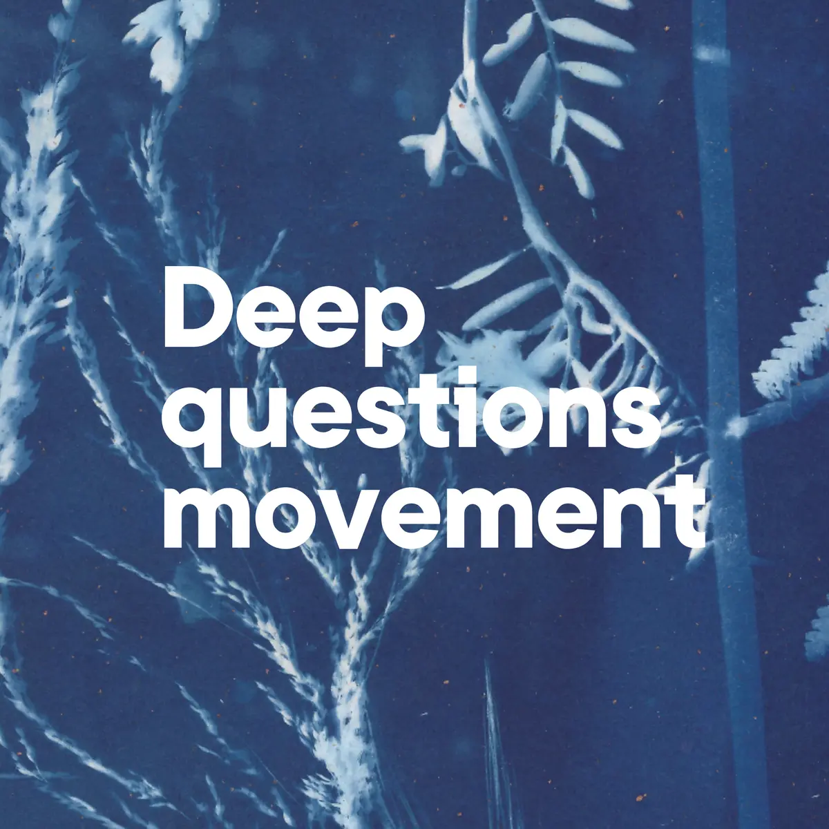 DQM General question card set