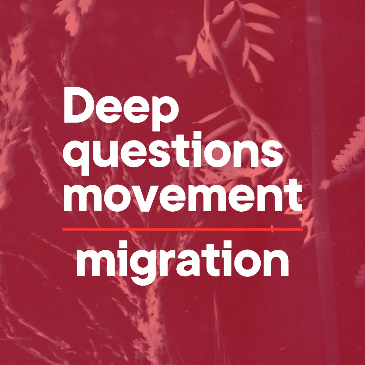 DQM Migration question card set